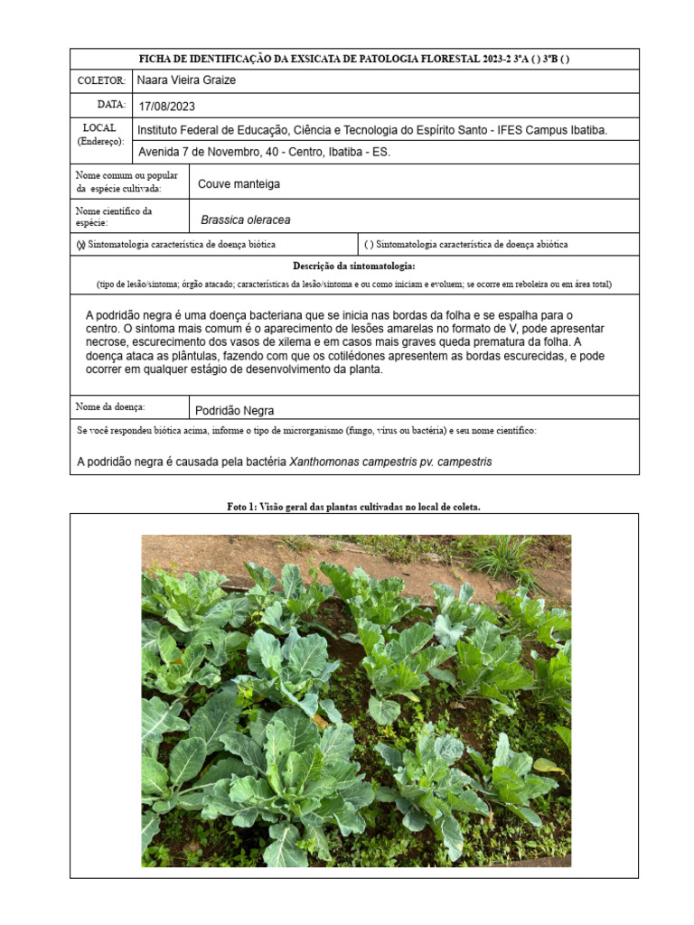 Ficha EXSICATA 2023 Patologia Florestal Orientações | PDF