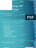 Histopathology of Pilonidal Sinus