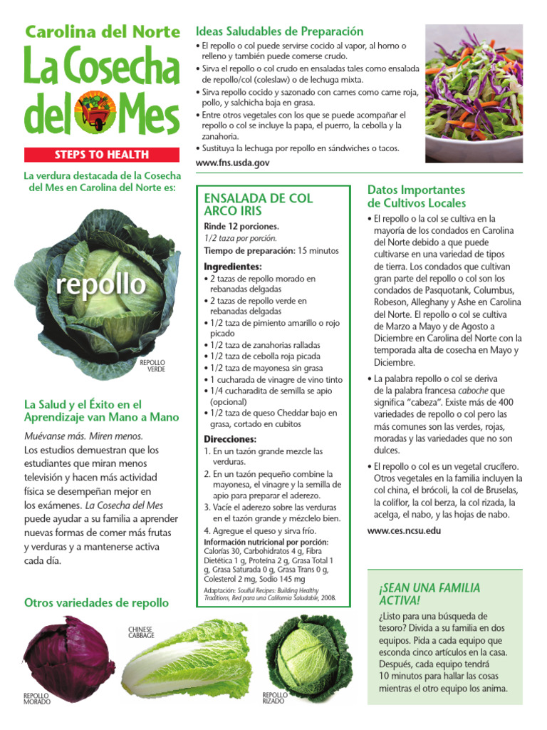 NC HOTM Cabbage Spanish PDF Vegetales Repollo
