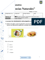 Evaluación Sumativa Ciencias Naturales PDF