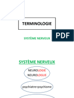 Terminologie Systeme Nerveux