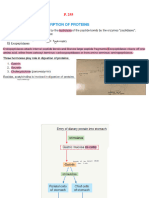 1-Digestion of PROTEINS (15 Slides)