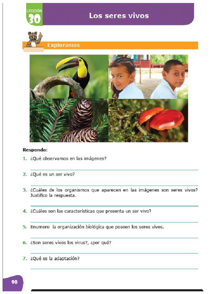 Septimo Cuaderno De Trabajo Pdf