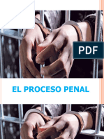 Clase 1 Principio y Garantias Proceso Penal