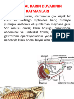 9-Karın Duvarırının Katmanları