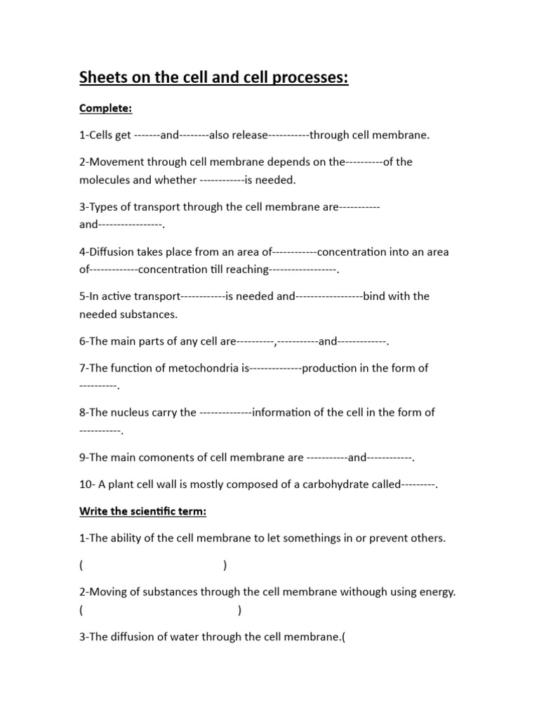 Cell Process Questions PDF