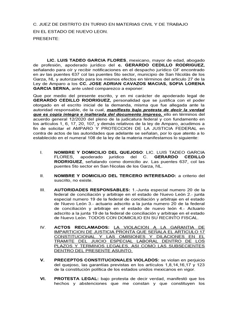 Solicitud de Amparo Laboral en NL | PDF | Caso de ley | Demanda judicial