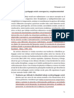 2.8. Trabajo Social y Pedagogia Social: Convergencia y Complementariedad