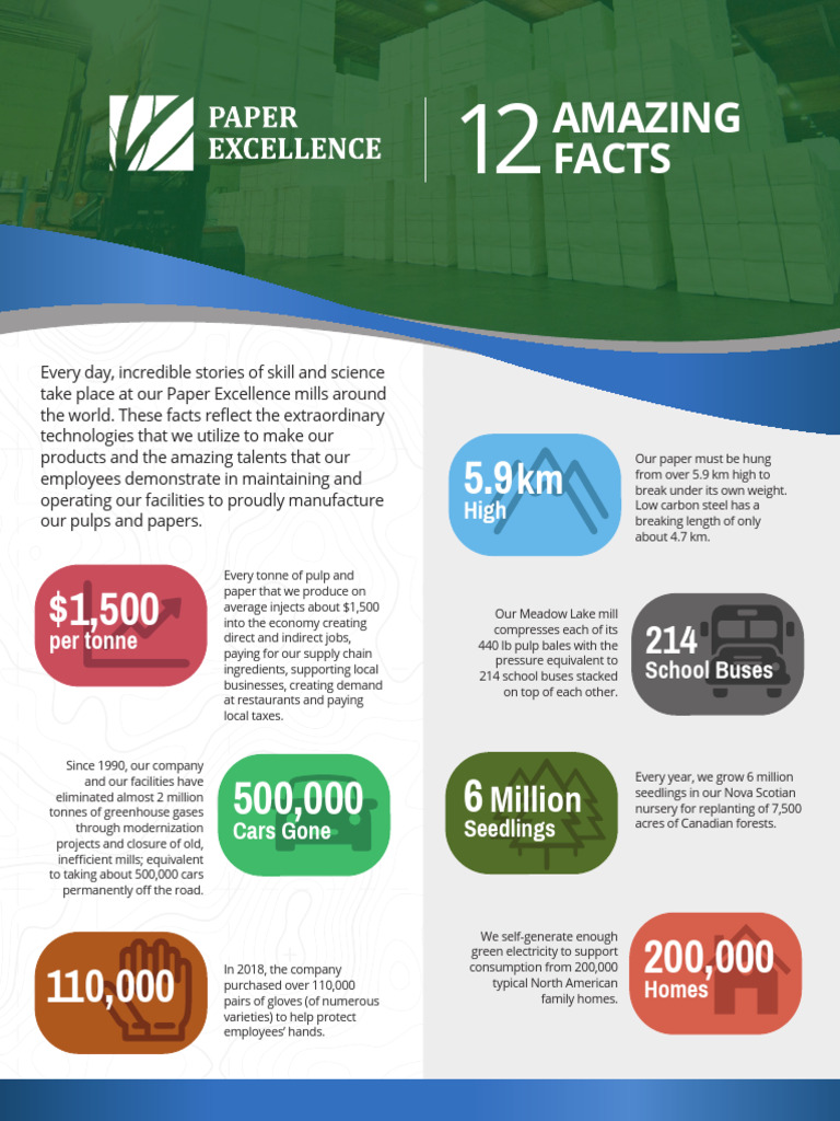 Paper Excellence 12 Amazing Facts PDF Paper Pulp (Paper)