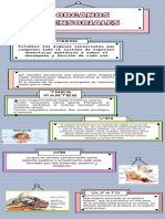 Infografia Organos Sensoriales