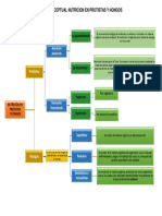 Mapa Conceptual Nutrición Protistas y Hongos