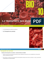 _Transporte nos animais