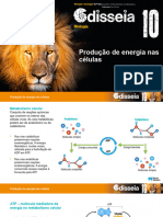 odis10_ppt_producao_energia_celulas