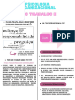 Psicologia Organizacional