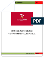 Manual de Funciones - Direccion de Gestion Ambiental - Presentacion 2211