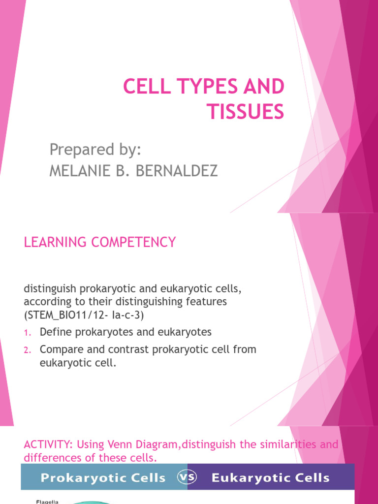 GENBIO1 Lesson 3cell Types and Tissues | PDF