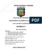 Informe 11