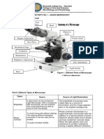 Microscope Laboratory Activity 1