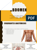 Abdomen V2