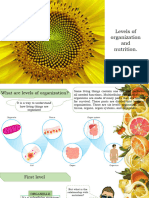 Levels Organization and Nutrition