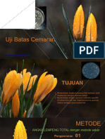 P3. Uji Batas Cemaran