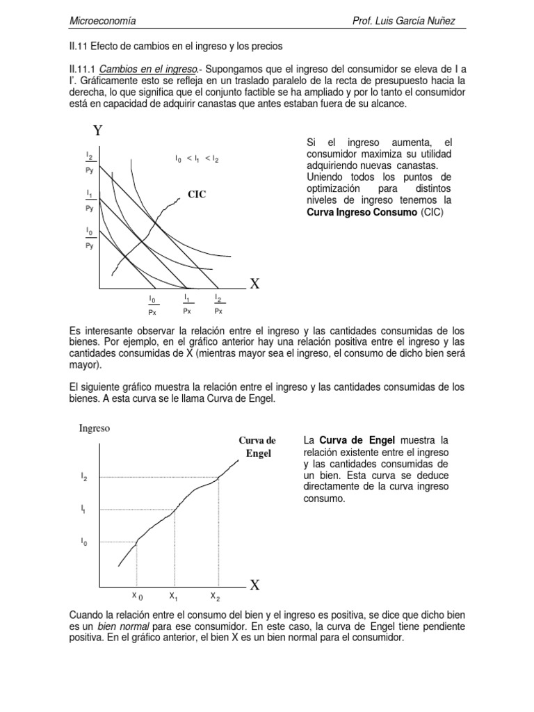 Efecto Ingreso y Curvas de Demanda | PDF