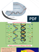 Unidad 2. Transcripcion