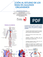 Sistema Circulatorio-Linfático-Inmunológico