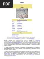 Download Ameba by Mateo Aspi SN67362926 doc pdf