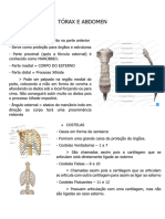 Tórax e Abdomen - Anatomia Palpatória