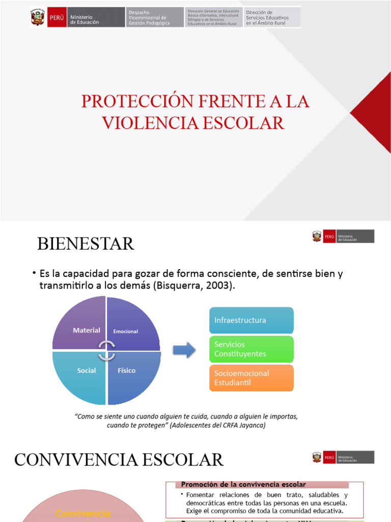 Violencia Escolar Epr - Ap | PDF | La violencia contra las mujeres ...