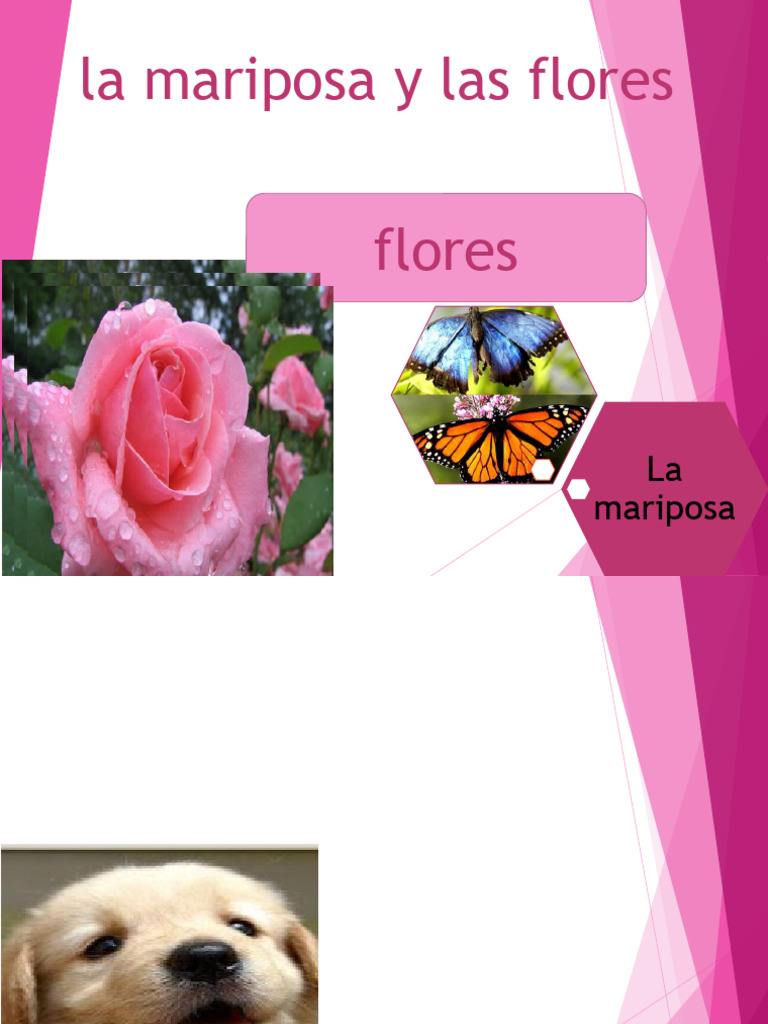 La Mariposa y Las Flores PDF