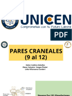 Exposicion Pares Craneales