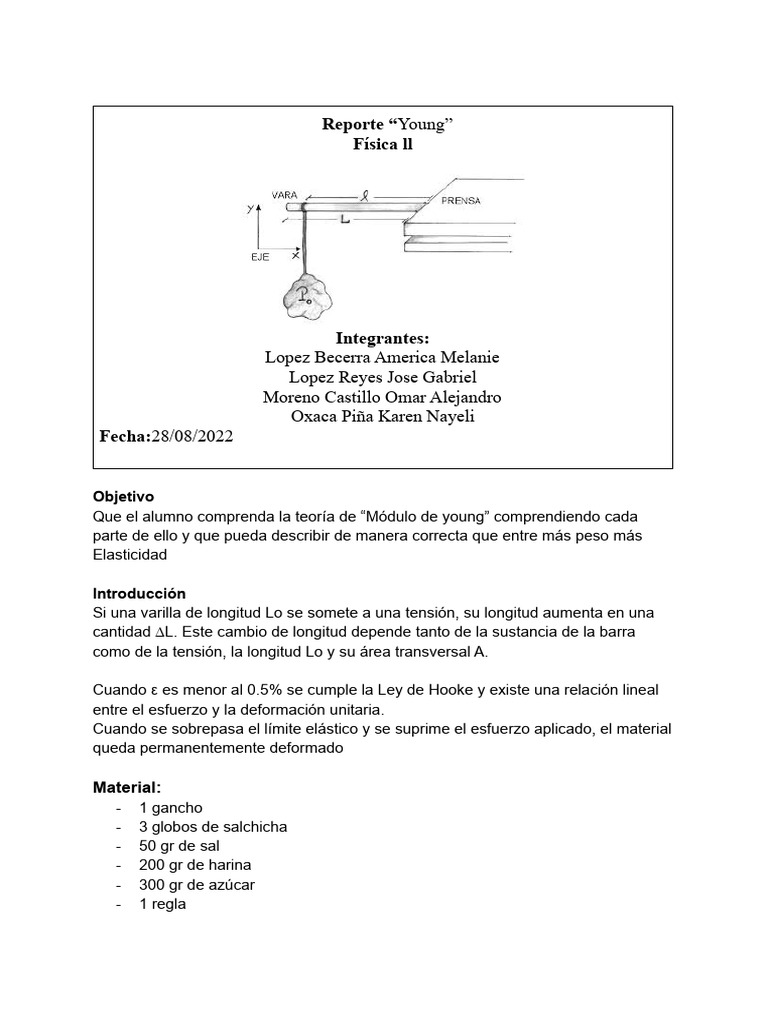 Practica Modulo De Young Pdf El Módulo De Young Elasticidad Física