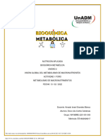 Bme U2 A1 Docc PDF