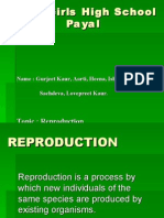 Reproduction Payal G