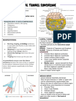 2024-therapeutic-exercise-program-for-radial-tunnel-syndrome-pdf