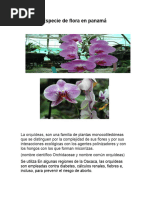 Especie de Flora en Panamá