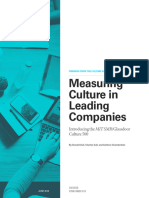 Measuring Culture Final 2