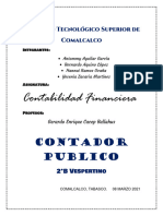 Contabilidad Financiera: Contador Publico