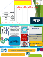 Identidades - Phonics and Cognates 2023