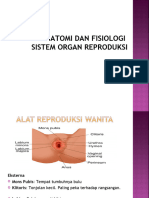 Anatomi Reproduksi Wanita