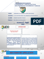 2° Trabajo Recursos de Apelacion