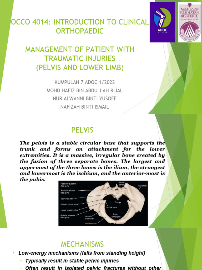 Pelvic And Lower Limb Pdf