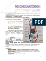 Aparato Ciruculatorio