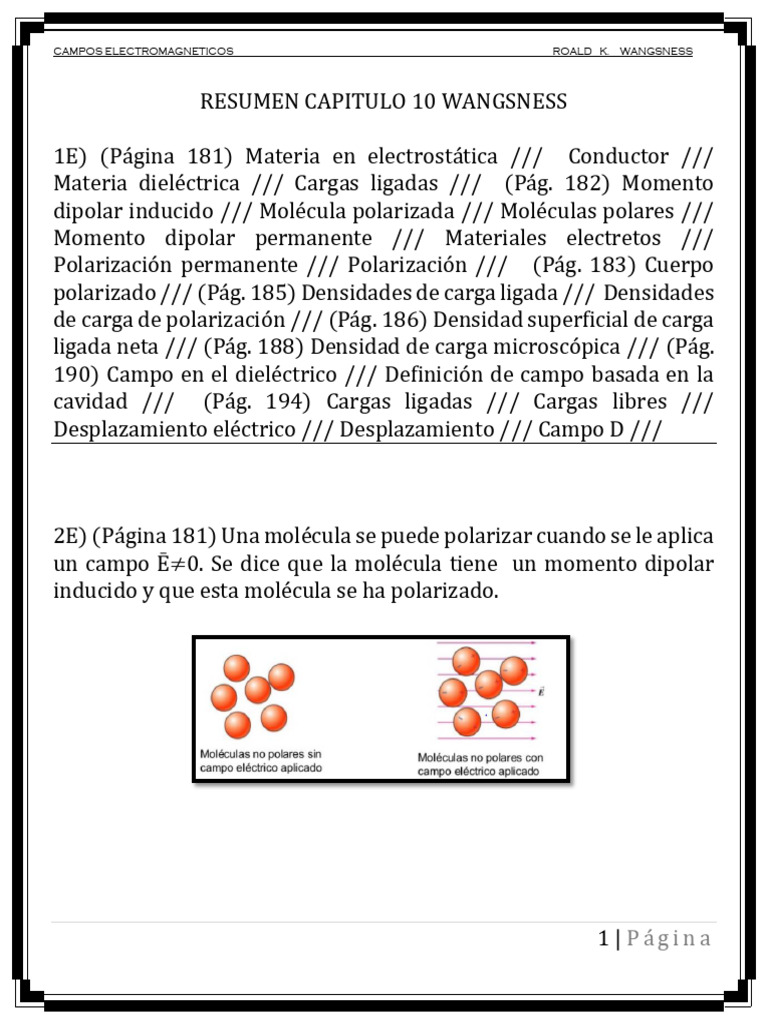 Resumen Capitulo 10 Wangsness Uno | PDF