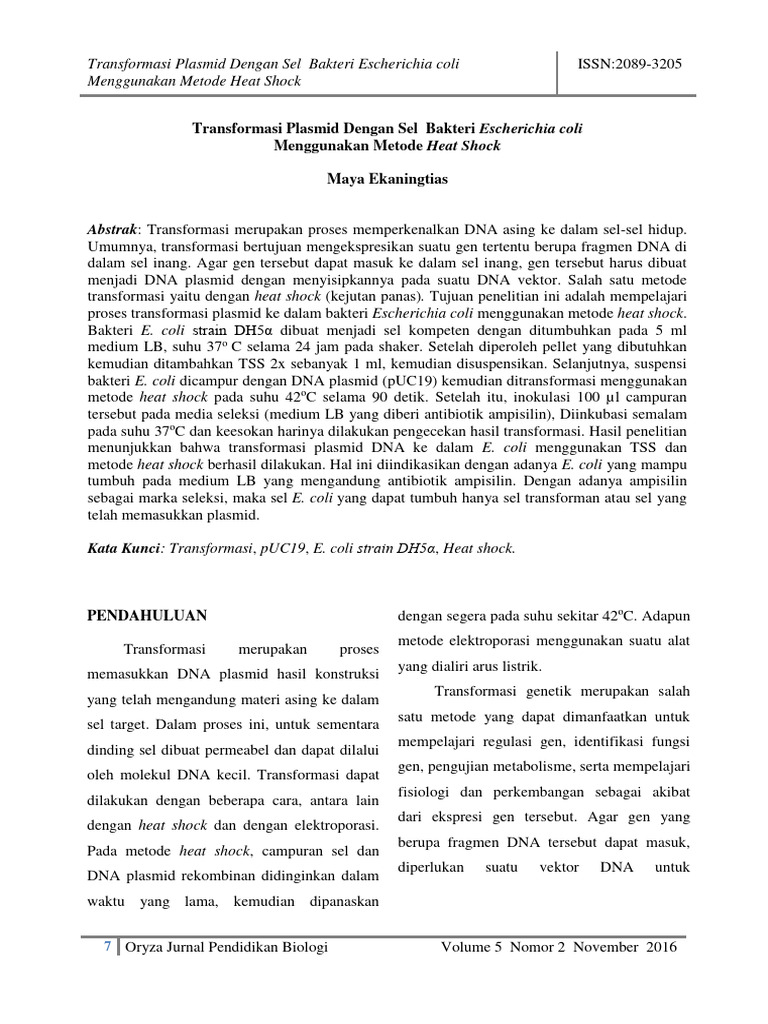 Transformasi Plasmid E. coli dengan Heat Shock | PDF | Sains & Matematika