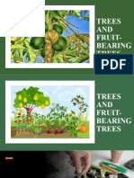 Trees and Fruit- Bearing Trees