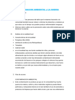 Contaminacion Ambiental y La Anemia