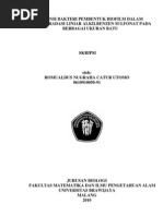 Download SKRIPSI by nugraha_catur SN67375327 doc pdf